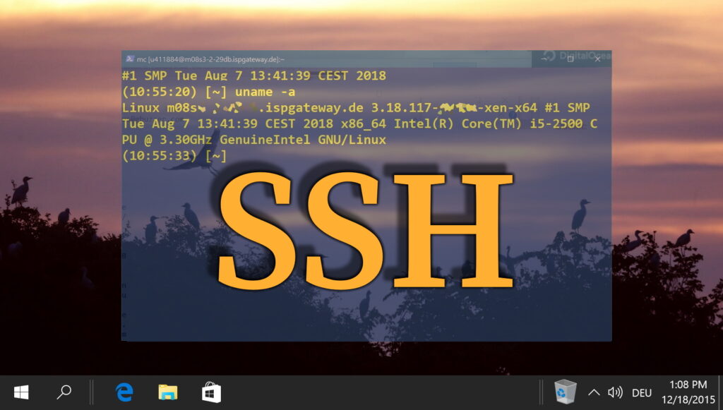 Copy SSH Key from Windows 10/11 to Linux Host